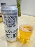 百威冰啤酒500ml*18罐整箱装【99%好评】京东自营中秋送礼 实拍图
