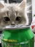 坤宁王宠物猫梳子猫狗毛梳子梳毛器猫咪针梳排梳猫指甲剪深度清洁3件套 实拍图