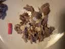 麦富迪狗狗零食 joy牛肉粒540g中小型犬磨牙棒训练奖励解馋宠物零食 实拍图