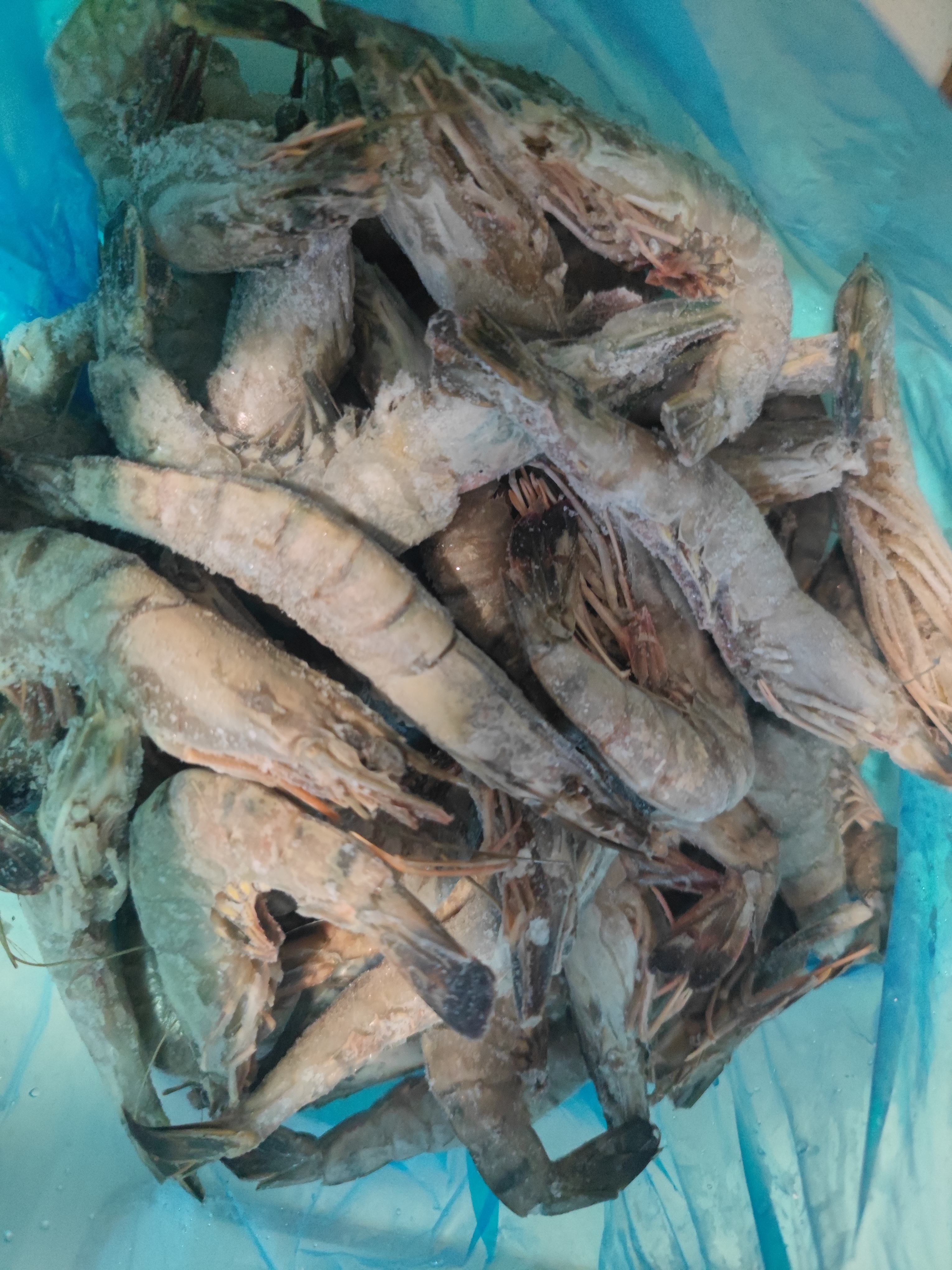 鲜京采 鲜冻大号黑虎虾 去冰净重2斤 31-40只/盒 美食大赛同款 中秋 实拍图