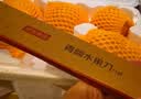 京东京造 水果刀 削刮皮厨房家用切西瓜宿舍户外不锈钢小刀【带刀套】 实拍图