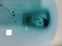 老管家尿碱溶解剂500g厕所马桶清洁剂融通洁厕剂疏通尿垢剂去除异味 实拍图