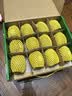 佳沛（zespri）新西兰金奇异果10个装单果重103-114g猕猴桃中秋节礼品送水果礼盒 实拍图