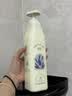 香鉴薰衣草精油香氛套装洗发水护发素沐浴露丽身体乳持久留香枫酒店 【洗发水580ml】送25克2支 实拍图
