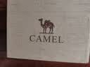 骆驼（CAMEL）网面透气跑步女鞋轻量健步运动鞋子  CD2223L6852 黑色 37 实拍图