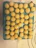 十月稻田 脱皮绿豆 2斤 去皮绿豆汤绿豆糕绿豆沙原料 馅料 五谷杂粮 实拍图