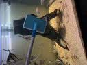 巨奇鱼缸刷清洗清理工具清洁 伸缩鱼缸刷子长把刮藻水族用品大号 实拍图