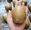 佳沛（zespri）新西兰金奇异果12粒特大果124-146g猕猴桃中秋节礼品送水果礼盒 实拍图
