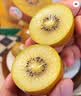 佳沛（zespri）新西兰金奇异果8粒超大果175-204g猕猴桃中秋节礼品送水果礼盒 实拍图