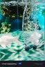 彻朗鱼缸氧气泵5w静音增氧泵鱼缸打氧泵小型加氧泵增氧机+气石 实拍图