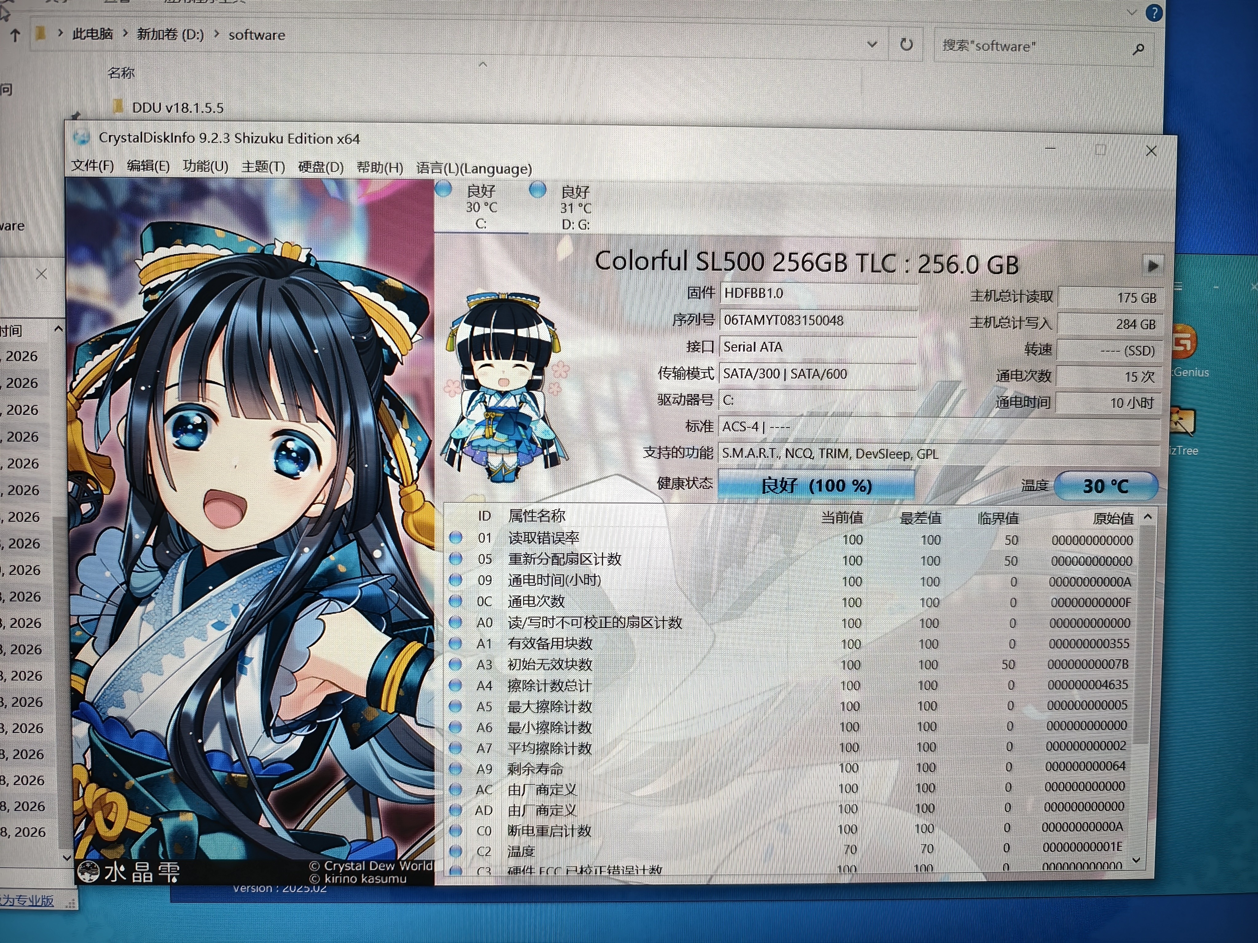 七彩虹（Colorful）256GB SSD固态硬盘 SATA3.0接口 SL500系列 TLC颗粒 实拍图