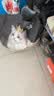 亿迪猫粮冻干幼猫成猫10斤全价英短蓝猫布偶老年猫国产通用全阶段5kg 实拍图