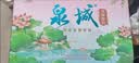 佳宝泉城荷花芙蓉李风味酸奶208g*12盒 济南特产 中秋礼盒送礼整箱 实拍图