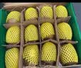 佳沛（zespri）新西兰金奇异果12粒特大果124-146g猕猴桃中秋节礼品送水果礼盒 实拍图