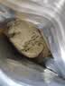 浮造太空沙儿童玩具水洗沙子食品级安全无毒不粘手星空沙生日礼物礼盒 实拍图