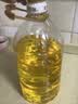 金龙鱼 食用油 非转基因 物理压榨玉米油6.18L（蕴含植物甾醇） 实拍图