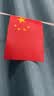 易利丰（elifo）中国国庆装饰氛围布置8号小国旗串旗小红旗五星红旗户外悬挂墙彩旗子挂旗帜办公室教室公司顶吊旗 实拍图