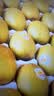 佳沛（zespri）新西兰金奇异果10粒巨大果146-175g猕猴桃中秋节礼品送水果礼盒 实拍图