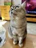 普联（TP-LINK） AX3000双频千兆WiFi6 子路由 无线路由器 信号扩展 Mesh易展 墙面路由信号放大器  XDR3032易展版 实拍图