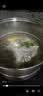 盐臻牧场宁夏滩羊肉半只羊10斤羊肉生鲜整只食材开羊节中秋礼盒 源头直发 实拍图