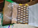 佳沛（zespri）新西兰金奇异果30-33粒原箱103-124g猕猴桃中秋节礼品送水果礼盒 实拍图