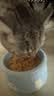 网易严选猫湿粮零食浓汤大口肉罐头鸡肉+三文鱼 85g*24罐 实拍图