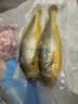 海名威 冷冻黄花鱼700g/2条 宁德大黄鱼 海鱼 生鲜鱼类 海鲜水产 中秋 实拍图