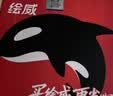 绘威适用奔图m6202nw硒鼓PD-213粉盒p2206nw p2206w m6202w易加粉M6603nw M6206w P2210W 奔腾打印机墨盒pd213 实拍图