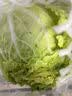 翡翠褶大白菜1.2kg 实拍图