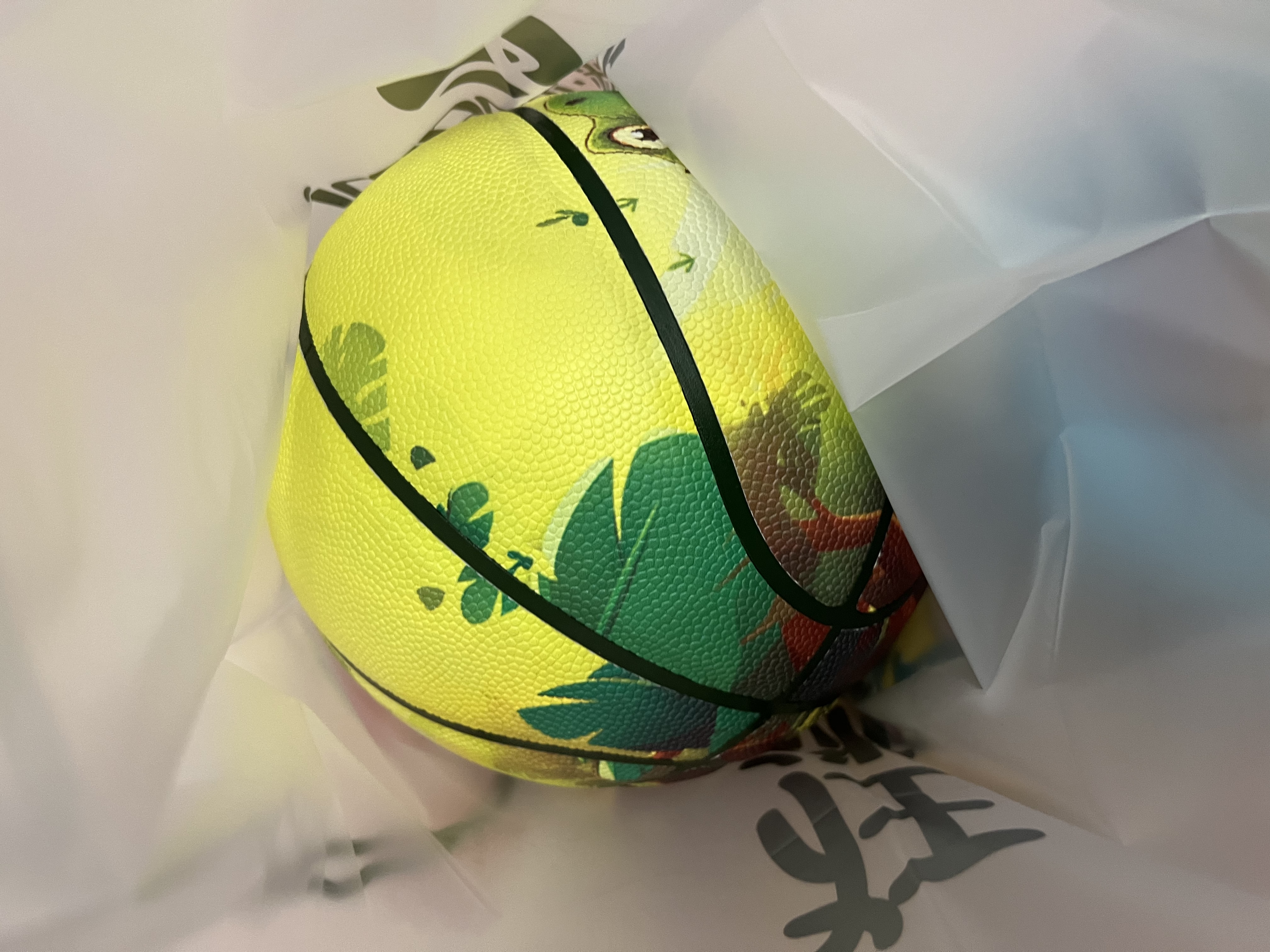 狂迷（kuangmi）篮球儿童恐龙4号PU耐磨防滑小学生青少年男女礼物训练比赛球 实拍图