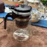 飘逸壶泡茶壶耐热高温玻璃沏茶过滤内胆冲茶器家用茶具套装 飘逸杯500mL1个 实拍图