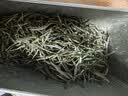茶半春茉莉兰妃茶30g踏雪级飘雪明前茶叶 2026新茶蒙顶山茉莉花茶盒装 实拍图