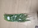 【安心菜】 韭菜250g 实拍图