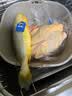 三都港 冷冻黄花鱼700g/2条装 大黄鱼深海鱼 生鲜鱼类 海鲜水产中秋礼品 实拍图