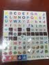 飞博士（Flybook）60*90cm白板墙贴不伤墙可移除办公家用教学写字板挂式磁性儿童小黑板可擦办公会议软白板纸 实拍图
