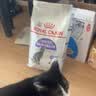 皇家猫粮 绝育成猫粮 SA37通用粮1-7岁4.5KG 实拍图