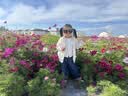 伊可新DHA+ARA藻油 儿童宝宝学生青少年孕妇dha 60粒/盒 实拍图