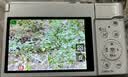 松下【12期免息】ZS99（Panasonic）便携式长焦数码口袋相机 4K视频 2030万像素 322g 旅行演唱会-白 实拍图
