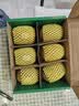 佳沛（zespri）新西兰金奇异果10粒巨大果146-175g猕猴桃中秋节礼品送水果礼盒 实拍图
