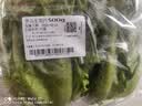罗马生菜约500g 实拍图