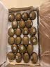 佳沛（zespri）新西兰绿奇异果优选大果12粒115-135g猕猴桃中秋节礼品送水果礼盒 实拍图