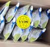 【原研药】[瑞代] 肠内营养乳剂(TPF-D)500ml/袋*20盒 实拍图