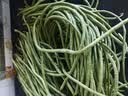 山东莘县大棚豇豆新鲜长豆角凉拌菜脆嫩鲜甜 农家精选带箱5斤装（净重4.2斤） 实拍图