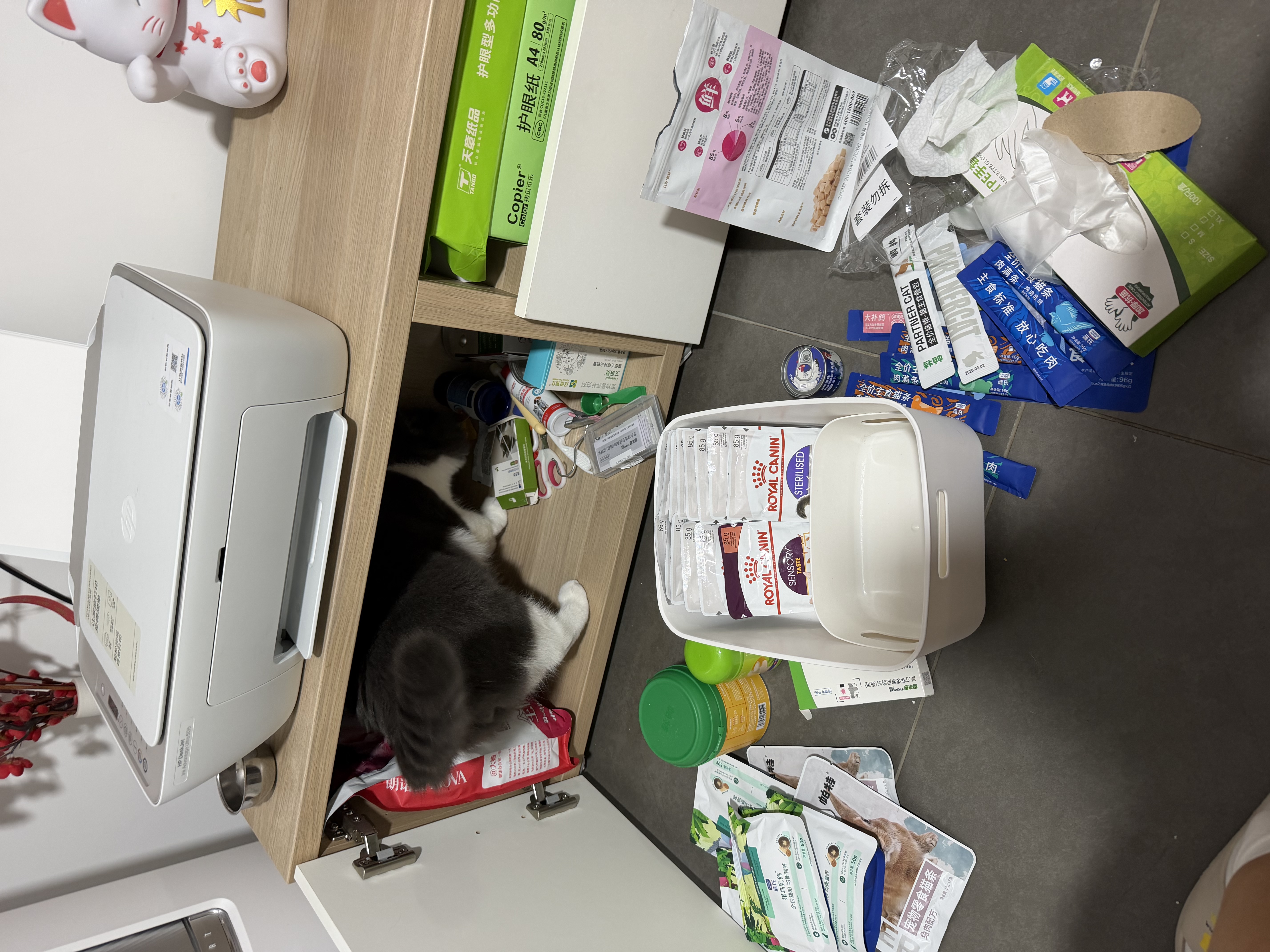 帕特 猫条猫零食飞鱼籽猫条猫咪补水解馋成幼猫零食湿粮 兔肉10g*6支 实拍图