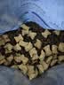 麦富迪猫粮 barf霸弗天然猫粮冻干成猫粮养胃增肌混合7.2kg【宠物金选】 实拍图