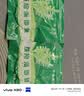 京喜加 压缩海带丝圆饼霞浦特产海产干货海洋凉拌海带丝昆布 2包【直播专享】 实拍图