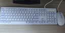 联想（Lenovo）有线键鼠套装KM220/TL21 巧克力按键有线键盘鼠标USB商务电脑办公键盘笔记本台式机一体机键盘紫色 实拍图