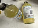 宾得宝（Bundaberg）含气菠萝椰子味饮料375ml*6瓶装 澳州网红秋日旅行果汁气泡水 实拍图