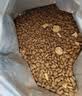 麦富迪猫粮 超肉粒冻干双拼成猫粮美毛护肠三文鱼10kg/20斤【宠物金选】 实拍图