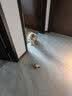 贵为（GiGwi）仿真发声小鸟逗猫玩具小猫咪幼猫自嗨解闷神器逗猫棒 实拍图